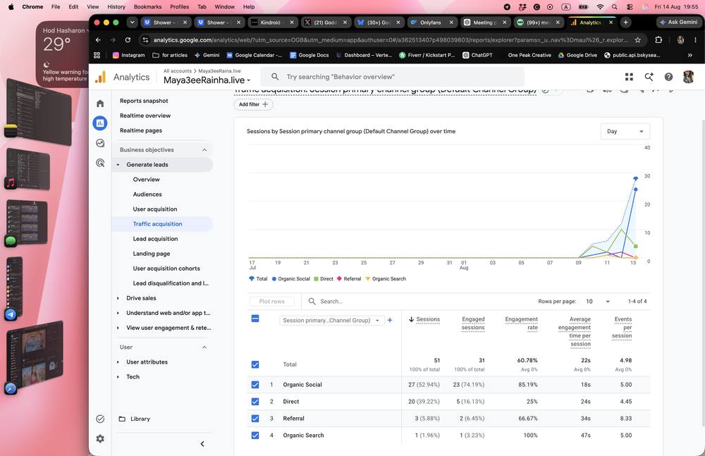 Traffic acquisition by channel showing organic social dominance